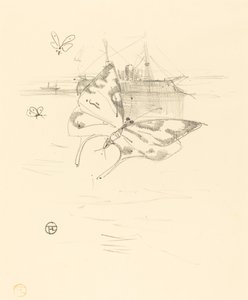 Die Schmetterlinge