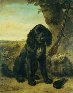 Ein flach beschichteter Retriever bei einem Baum von Henriëtte Ronner Knip