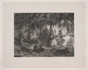 Skovinteriør von Henrik Bornemann