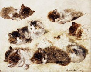Eine Studie von Kätzchen, 1898