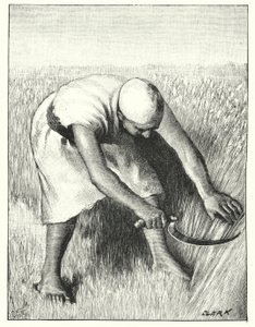 Ernte im Osten von Henry Andrew Harper