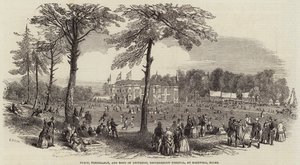 Friedens-, Mäßigkeits- und Universalbrüderlichkeitsfest in Hartwell, Bucks von Henry Anelay