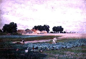 Kohlfeld und Bauernhof