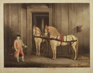 Zwei Staatsrosse Seiner Majestät, graviert von William Ward, 1. September 1800