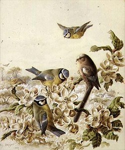 Obstgartenräuber von Henry Bright
