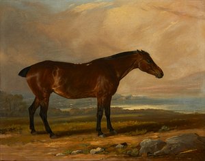 Studie eines Bay Hunters in einer Landschaft von Henry Calvert