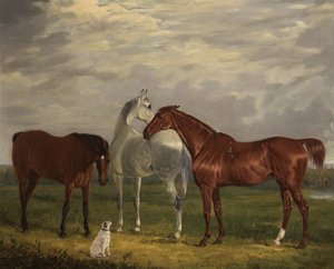Drei Pferde des 2. Lord de Tabley und sein Hund Vic, 1838 von Henry Calvert