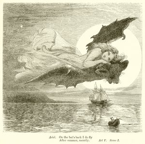 Der Sturm von Henry Courtney Selous