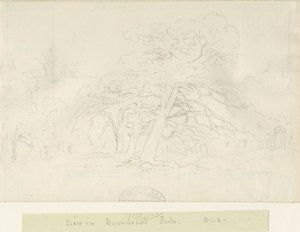 Beaudesert Park: Bleistiftzeichnung, undatiert [1788-1855] von Henry Curzon Allport