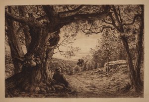 Am Berghang von Henry Farrer