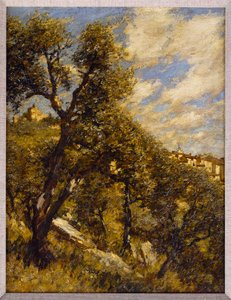 Frühling in der Provence