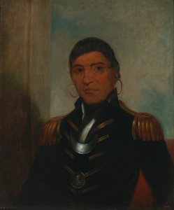 Großer Büffel (Chippewa)