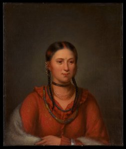 Hayne Hudjihini, Adler der Freude von Henry Inman