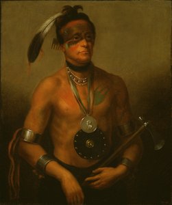 Hoo-Wan-Ne-Ka (Kleiner Elch)
