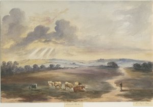 Cannock Chase - Heath: Aquarellmalerei von Henry James Noyes