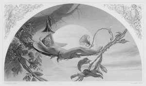 Ariel, aus dem Bild in der Königlichen Sammlung von Henry James Townsend
