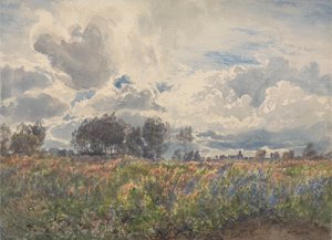 Regnerischer Juni, Picardie