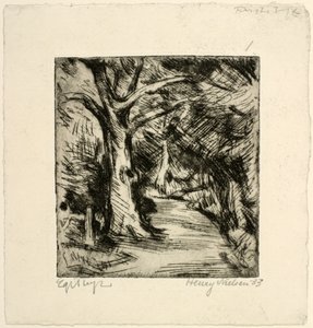 Waldweg. Riis Wald