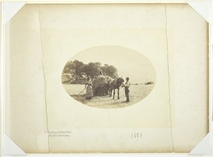 An den Hängen von Cader-Idris, Die letzte Heuladung, 1883