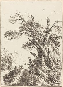 Landschaft mit alten Bäumen am Wasser von Henry Richard Greville, 3rd earl of Warwick