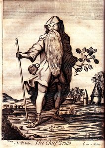 Der Oberste Druide aus Mona Antiqua Restaurata, 1723 von Henry Rowlands
