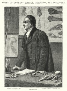 Der Professor (Gravur) von Henry Stacey (after) Marks