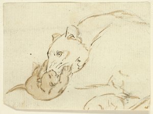 Fünf Skizzen von Löwen: Löwin mit Jungem von Henry Stacy Marks