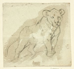 Fünf Skizzen von Löwen: Stehendes Jungtier von Henry Stacy Marks
