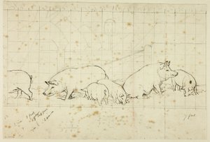 Schweine von Henry Stacy Marks
