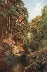 Eine bewaldete Schlucht, Killin, Perthshire
