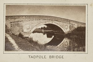 Kaulquappenbrücke von Henry W. Taunt