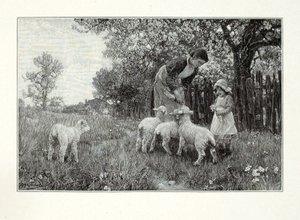 In der Gärtnerei