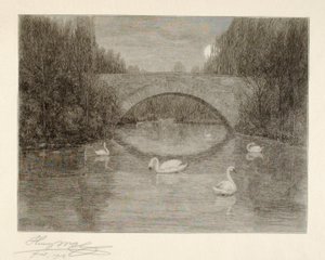 Abend, Schwanensee, Central Park, New York von Henry Wolf
