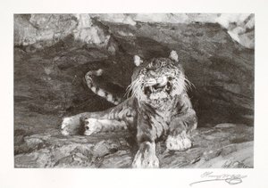 Tiger von Henry Wolf