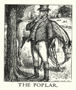 Ingoldsby Legenden: Die Pappel