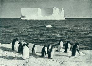 Ein Eisberg treibt im McMurdo-Sund, ca. 1910-1913, 1913 von Herbert Ponting