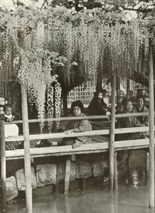 Ein Glyzinienlaubengang in Kameido, 1910