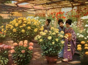 Auf der Chrysanthemen-Ausstellung, 1910