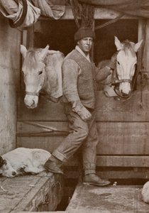Kapitän Oates und Ponys auf der Terra Nova von Herbert Ponting