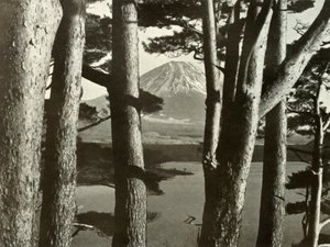 Fuji und die Kiefern, 1910