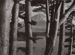 Fuji durch die Kiefern
