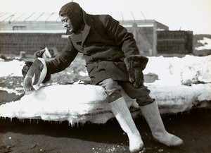 Mann mit einem Pinguin während der englischen Expedition in die Antarktis