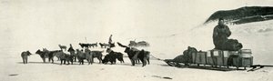 Meares und Demetri mit ihren Hundeteams verlassen Hut Point, um 1911 von Herbert Ponting