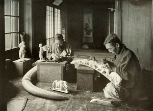 Die Elfenbeinschnitzer, 1910