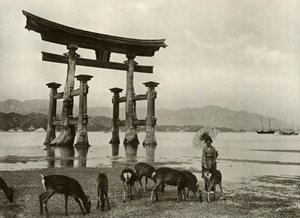 Das alte Torii in Miyajima, 1910 von Herbert Ponting