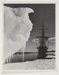 Die Terra Nova am Eisfuß von Herbert Ponting