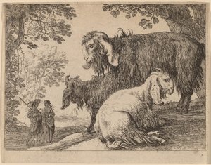 Angoraziege von Herman van Swanevelt