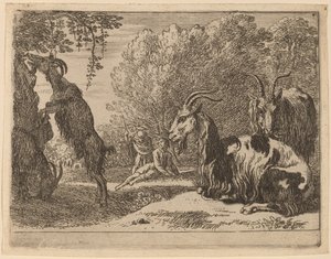 Ziegen von Herman van Swanevelt