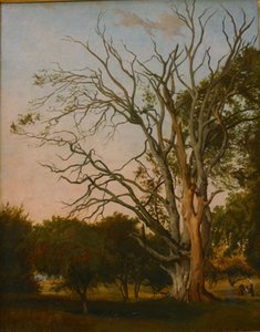 Waldszene mit einem toten Baum von Hermann Carmiencke