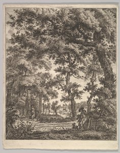 Landschaft